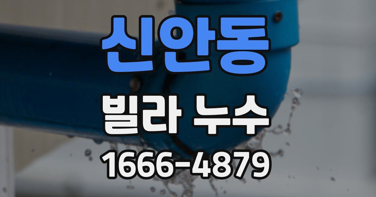 신안동 빌라 누수