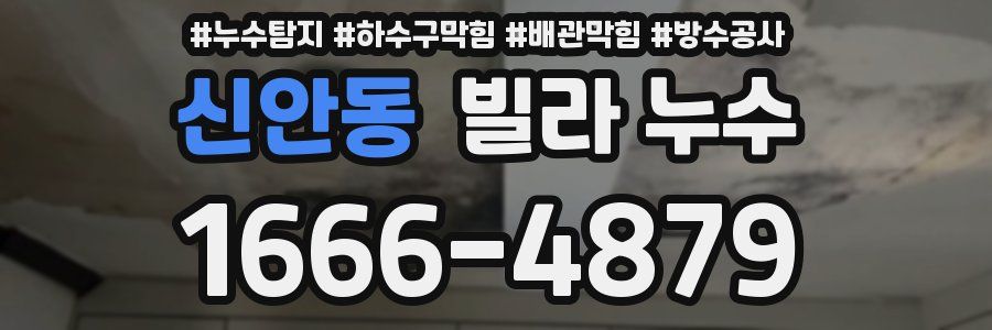 신안동 빌라 누수