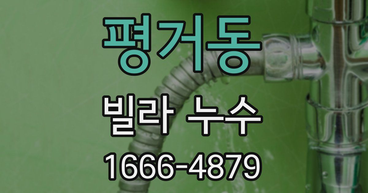 평거동 빌라 누수