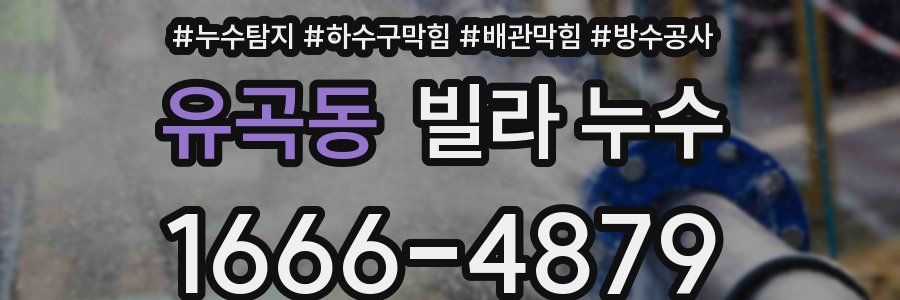 유곡동 빌라 누수