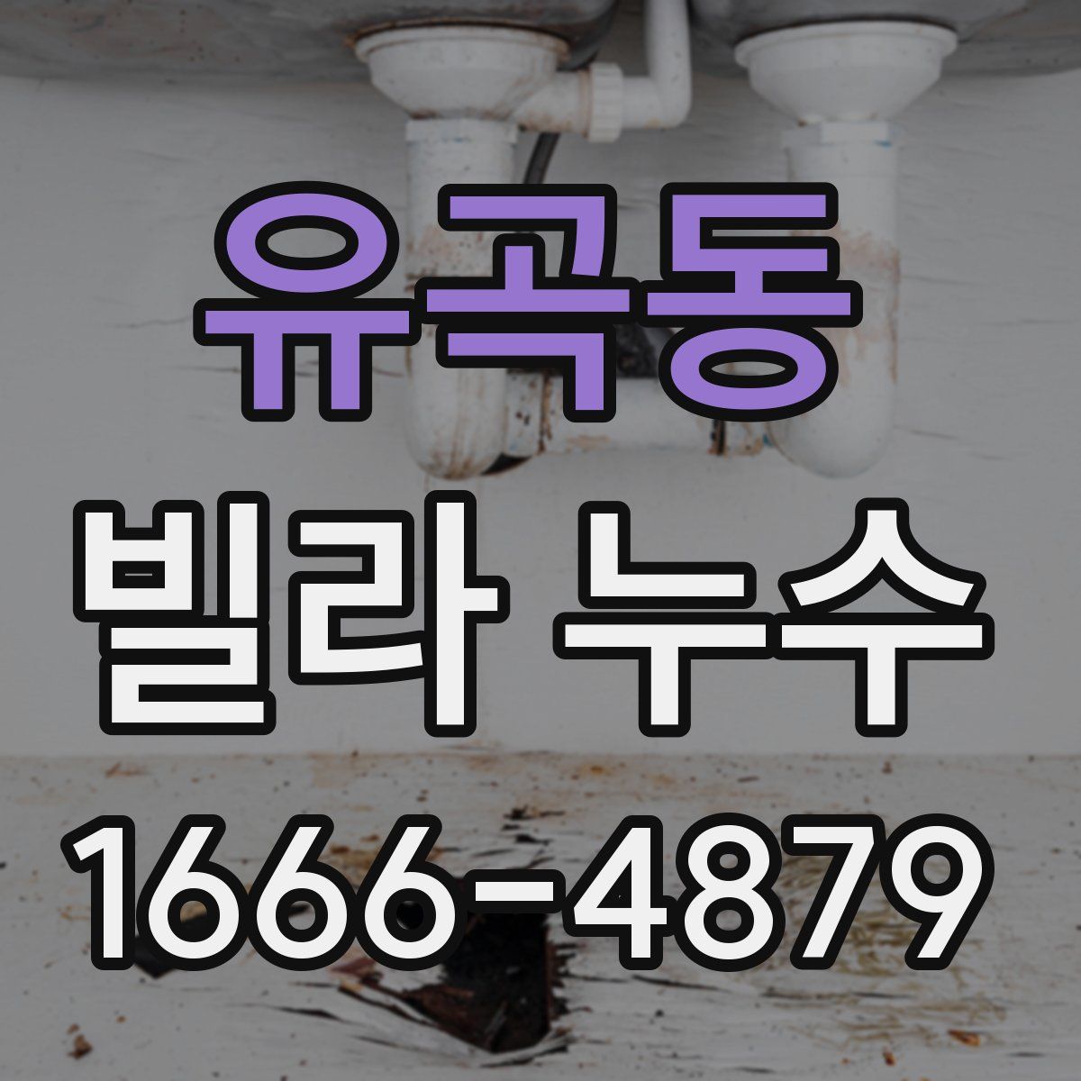 유곡동 빌라 누수