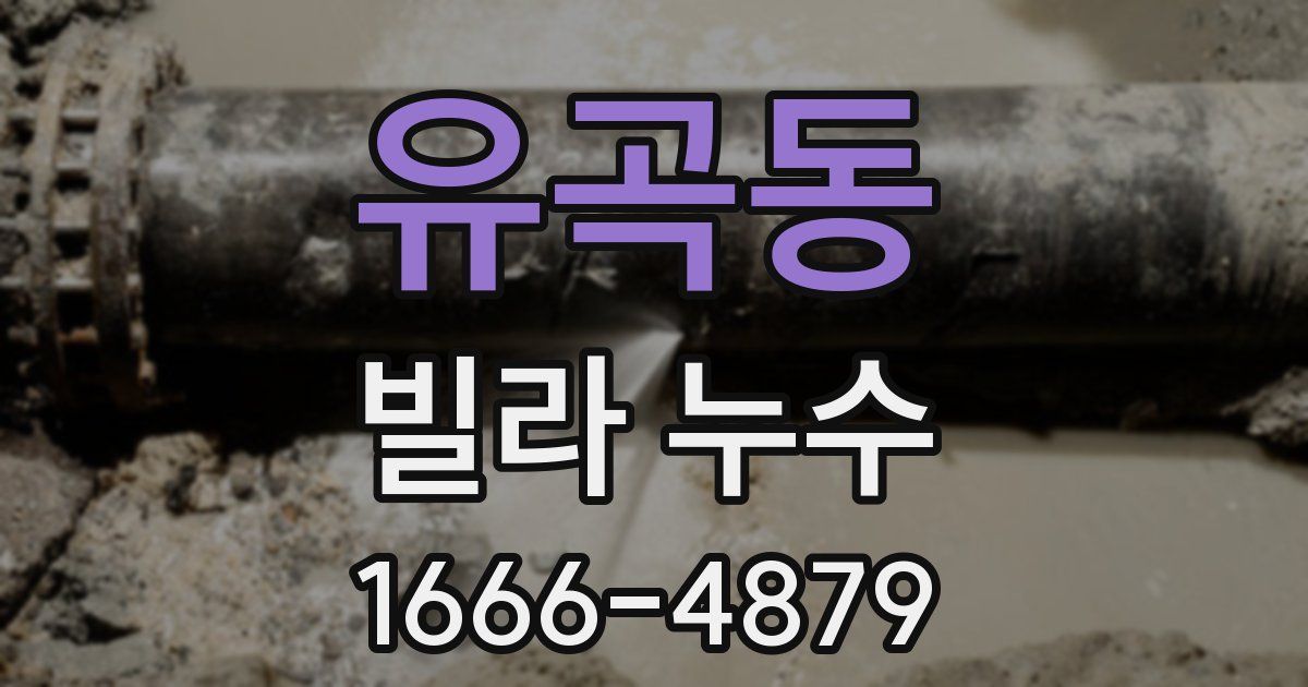 유곡동 빌라 누수