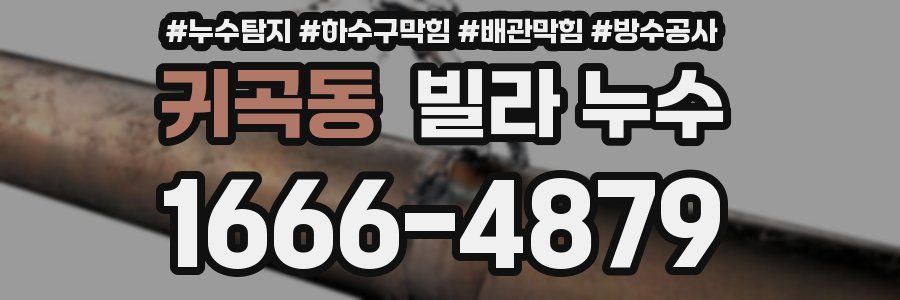 귀곡동 빌라 누수