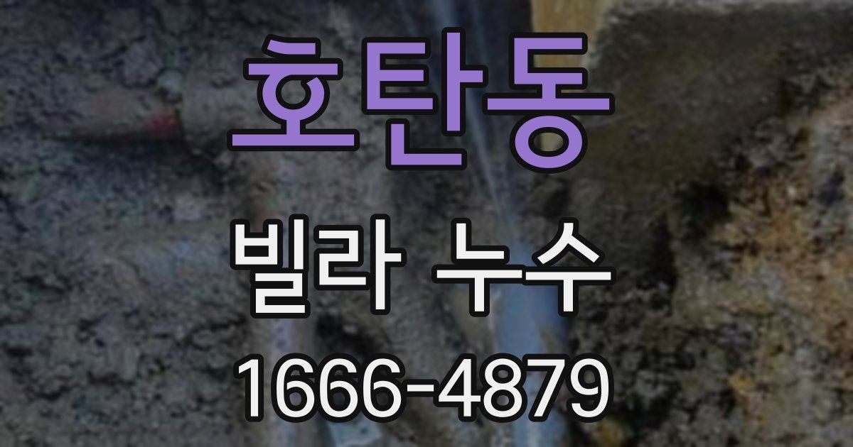 호탄동 빌라 누수