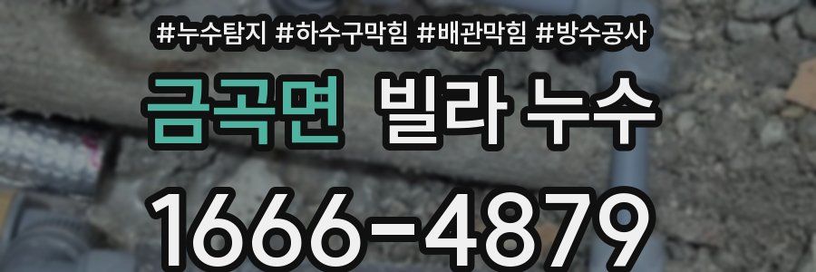 금곡면 빌라 누수