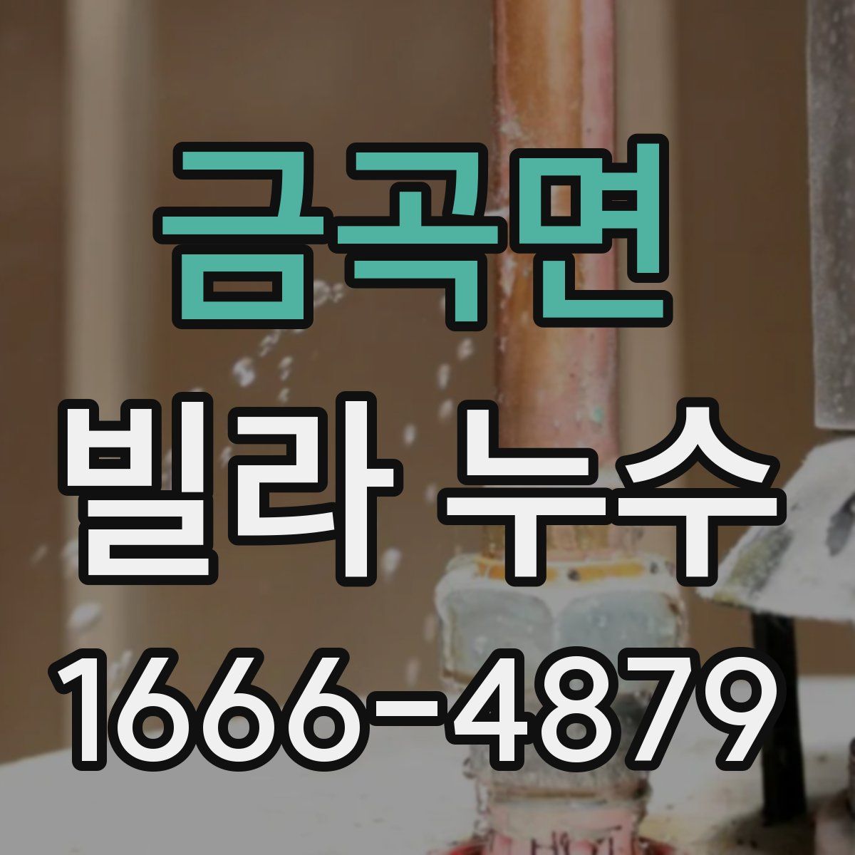 금곡면 빌라 누수