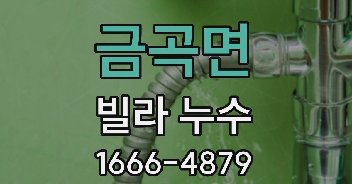 금곡면 빌라 누수
