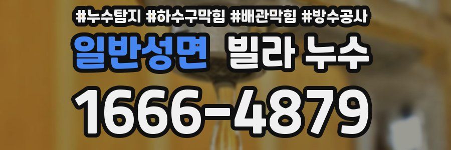 일반성면 빌라 누수