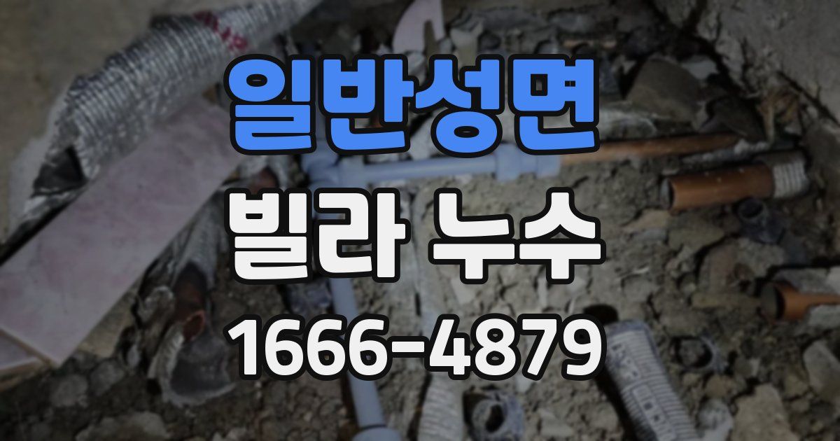 일반성면 빌라 누수