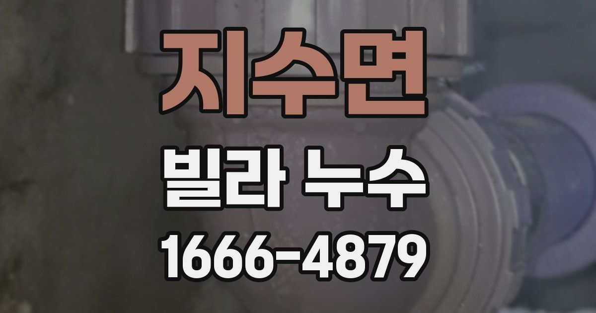 지수면 빌라 누수