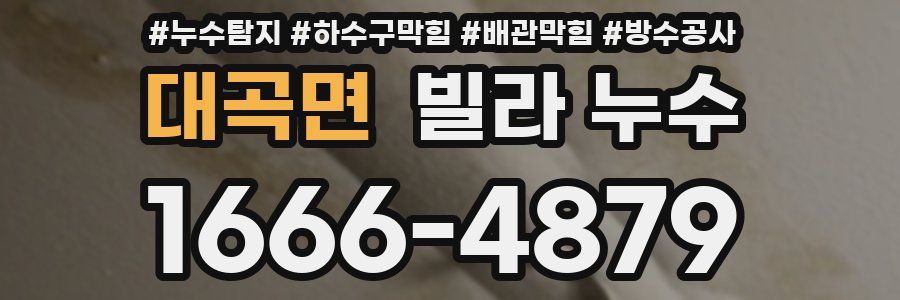 대곡면 빌라 누수