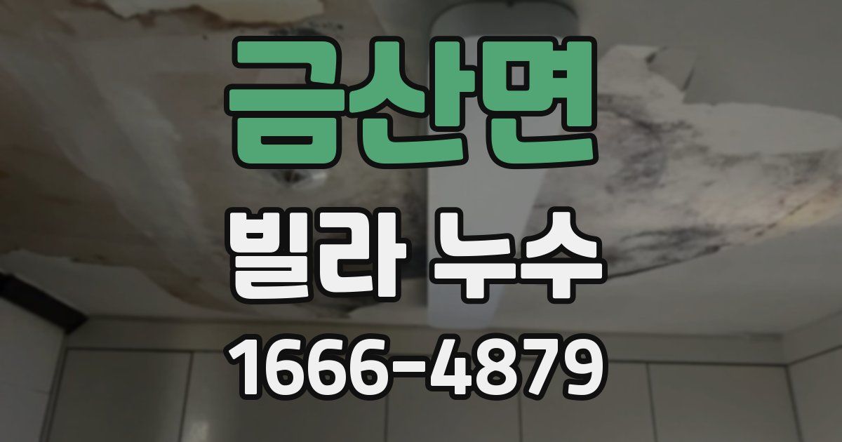 금산면 빌라 누수