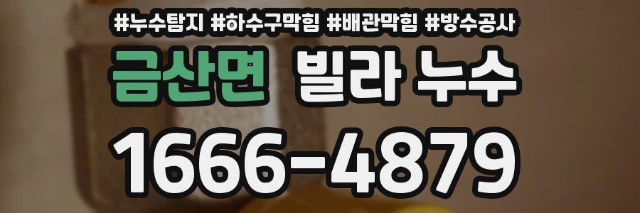 금산면 빌라 누수