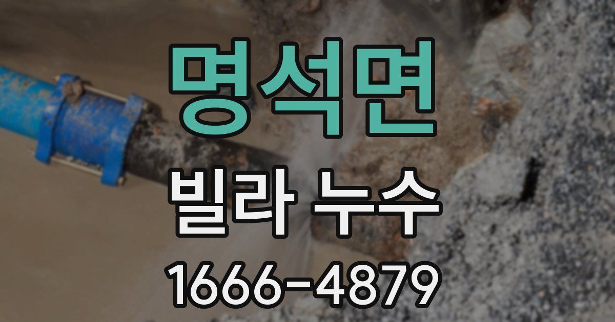 명석면 빌라 누수