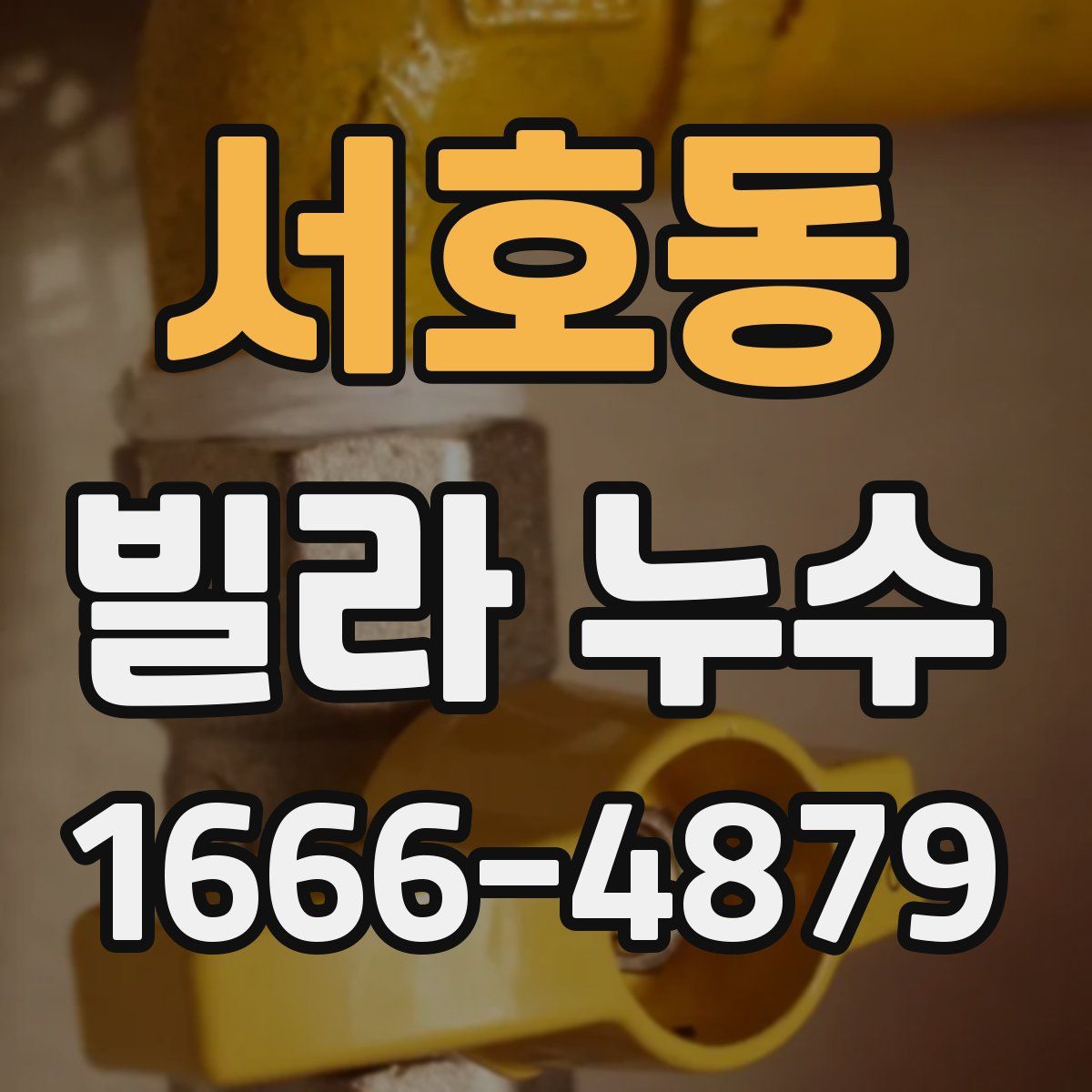 서호동 빌라 누수