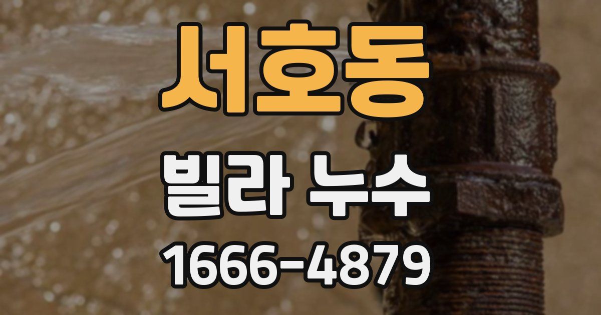 서호동 빌라 누수
