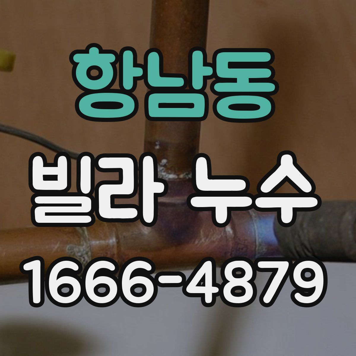 항남동 빌라 누수