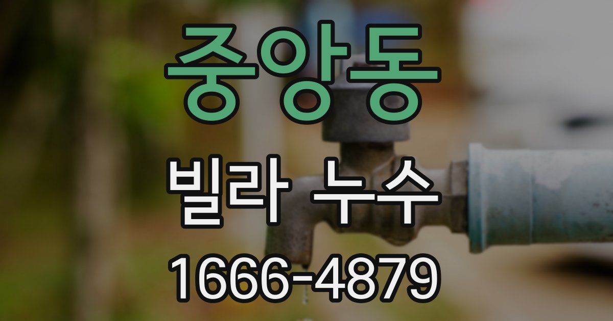 중앙동 빌라 누수