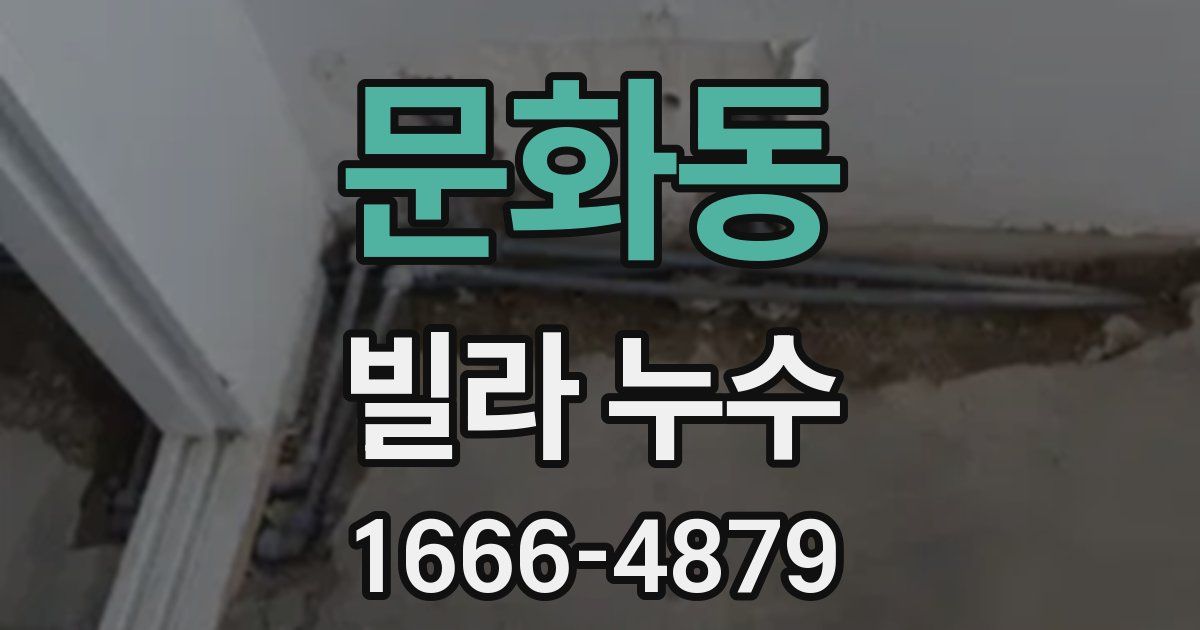 문화동 빌라 누수