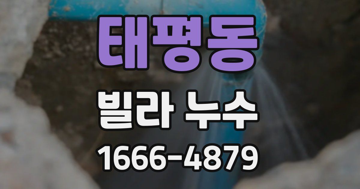 태평동 빌라 누수