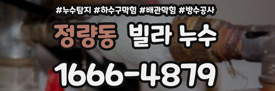 정량동 빌라 누수