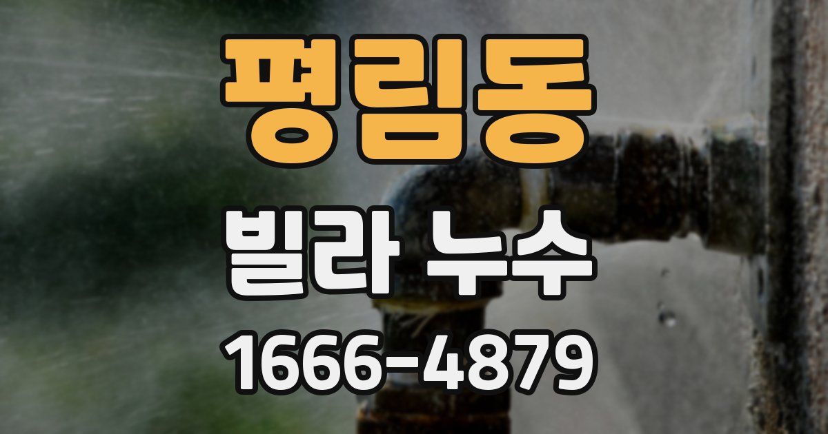 평림동 빌라 누수