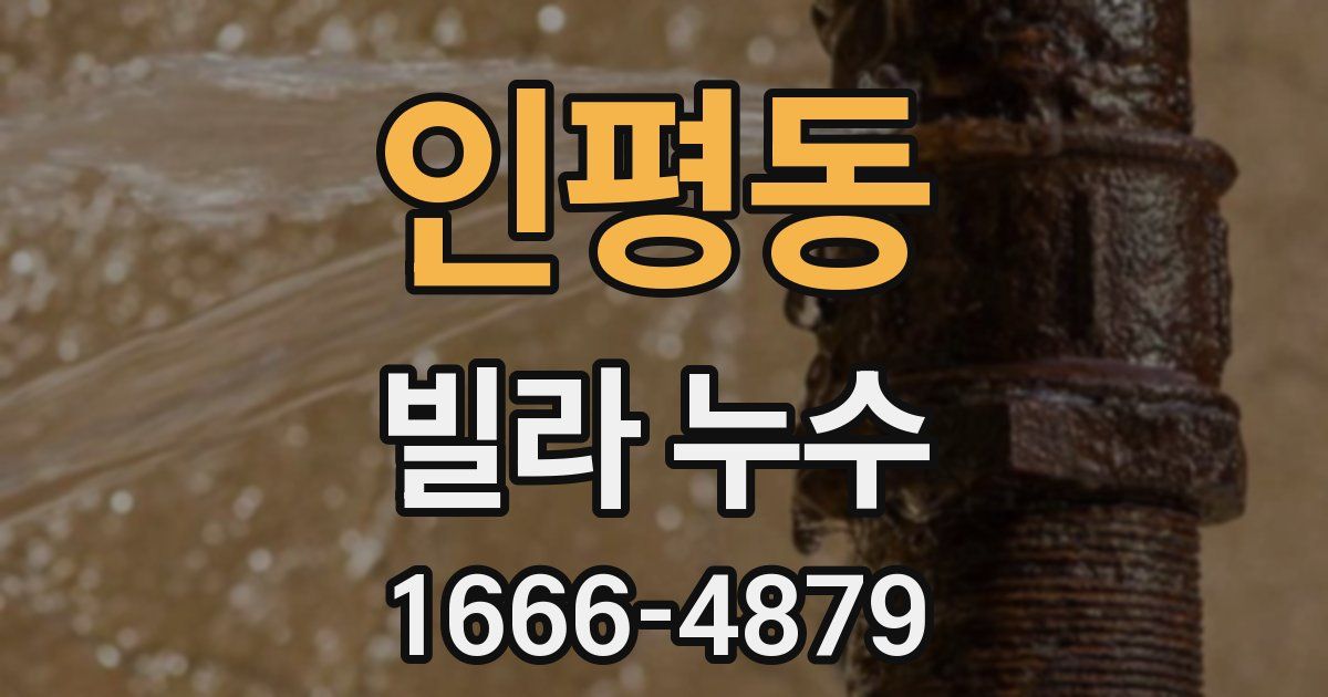 인평동 빌라 누수