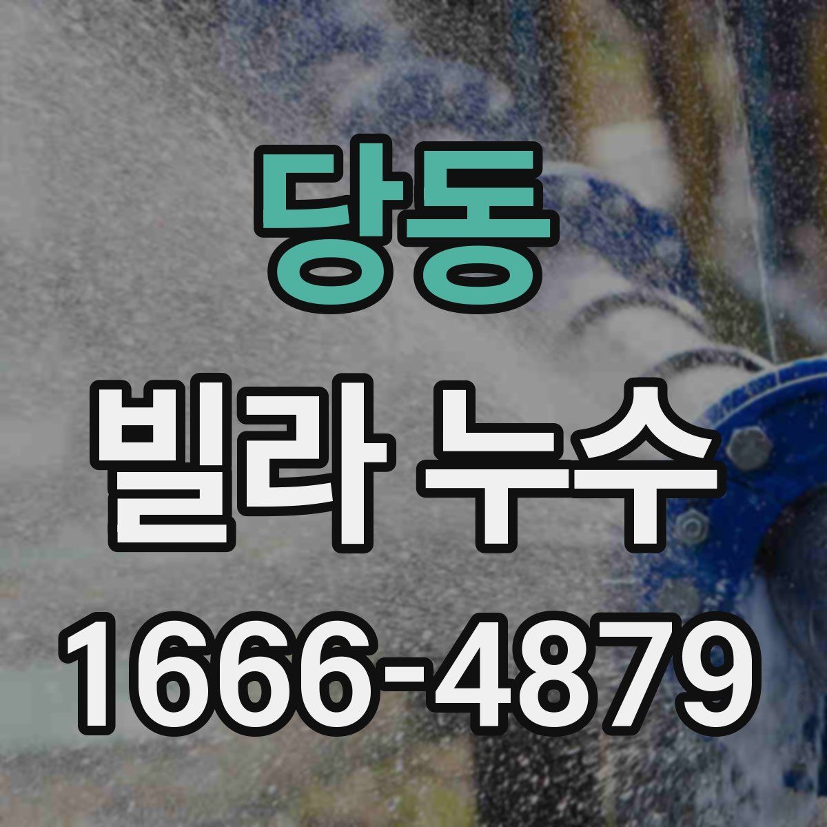 당동 빌라 누수