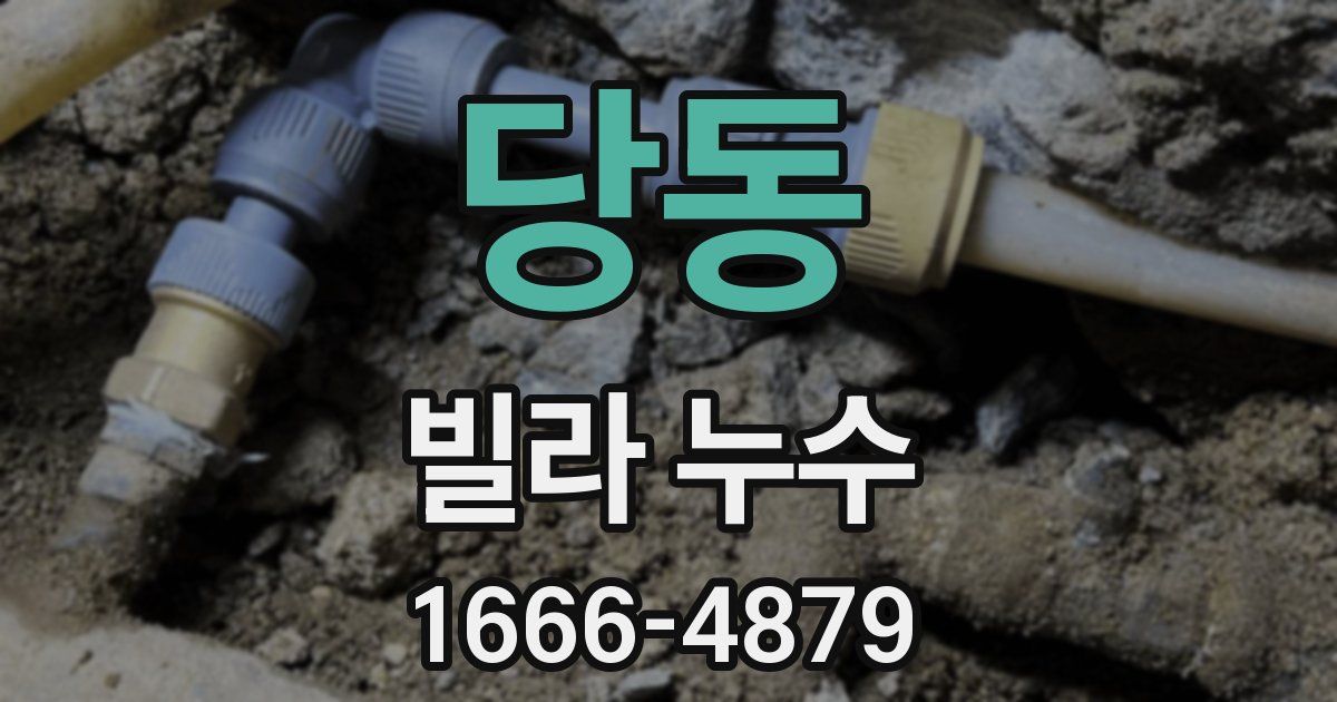 당동 빌라 누수