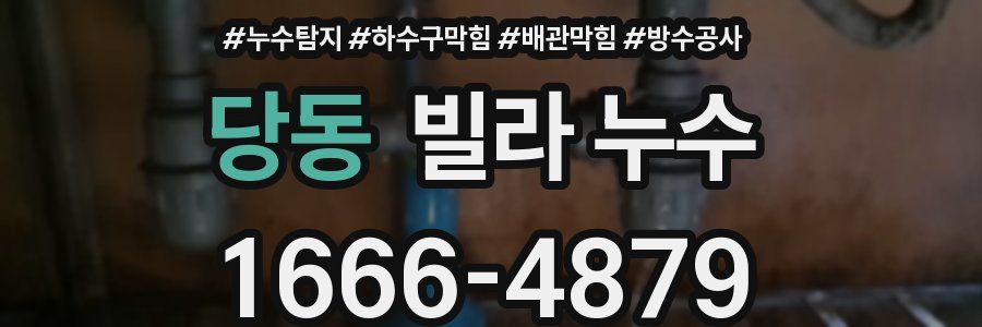 당동 빌라 누수