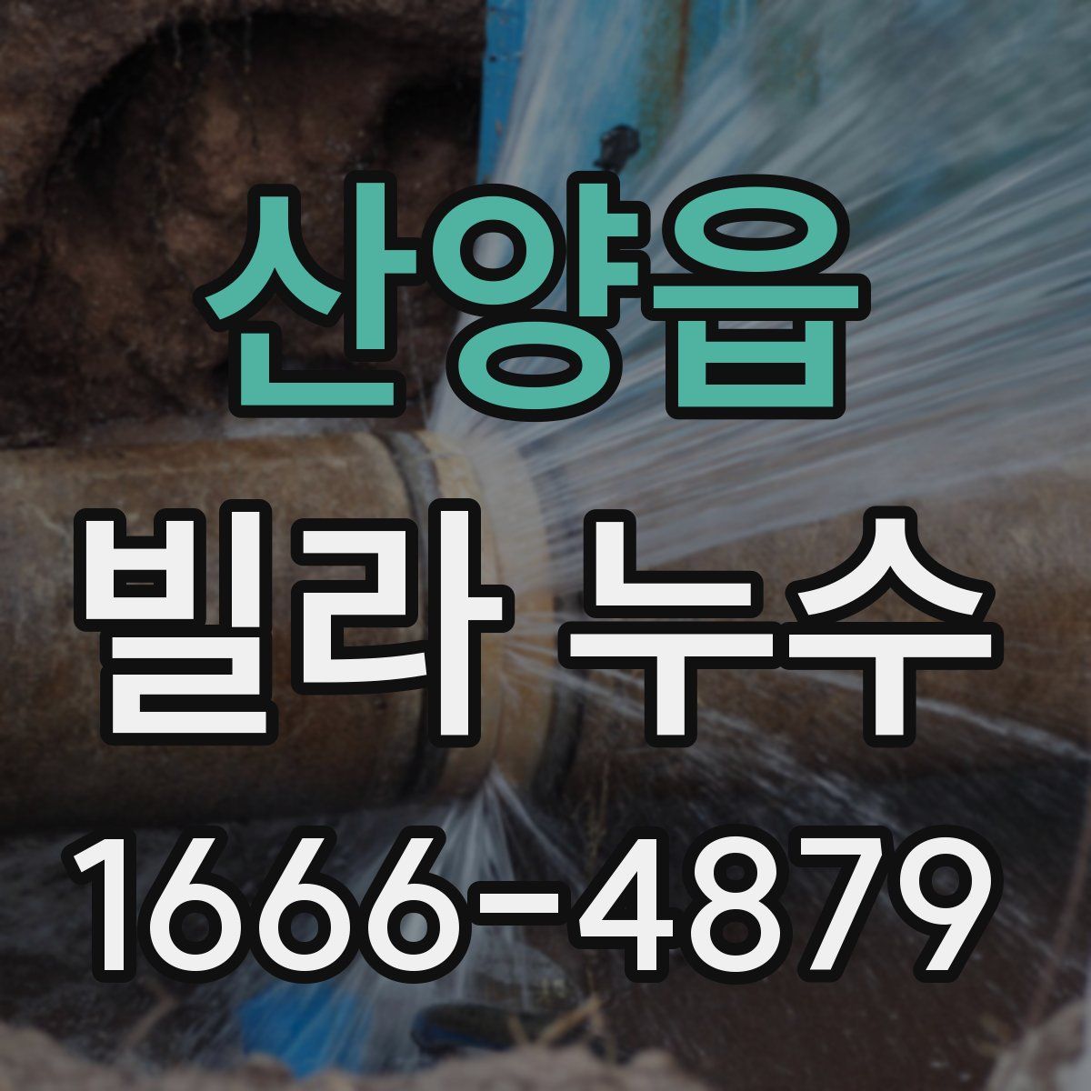 산양읍 빌라 누수