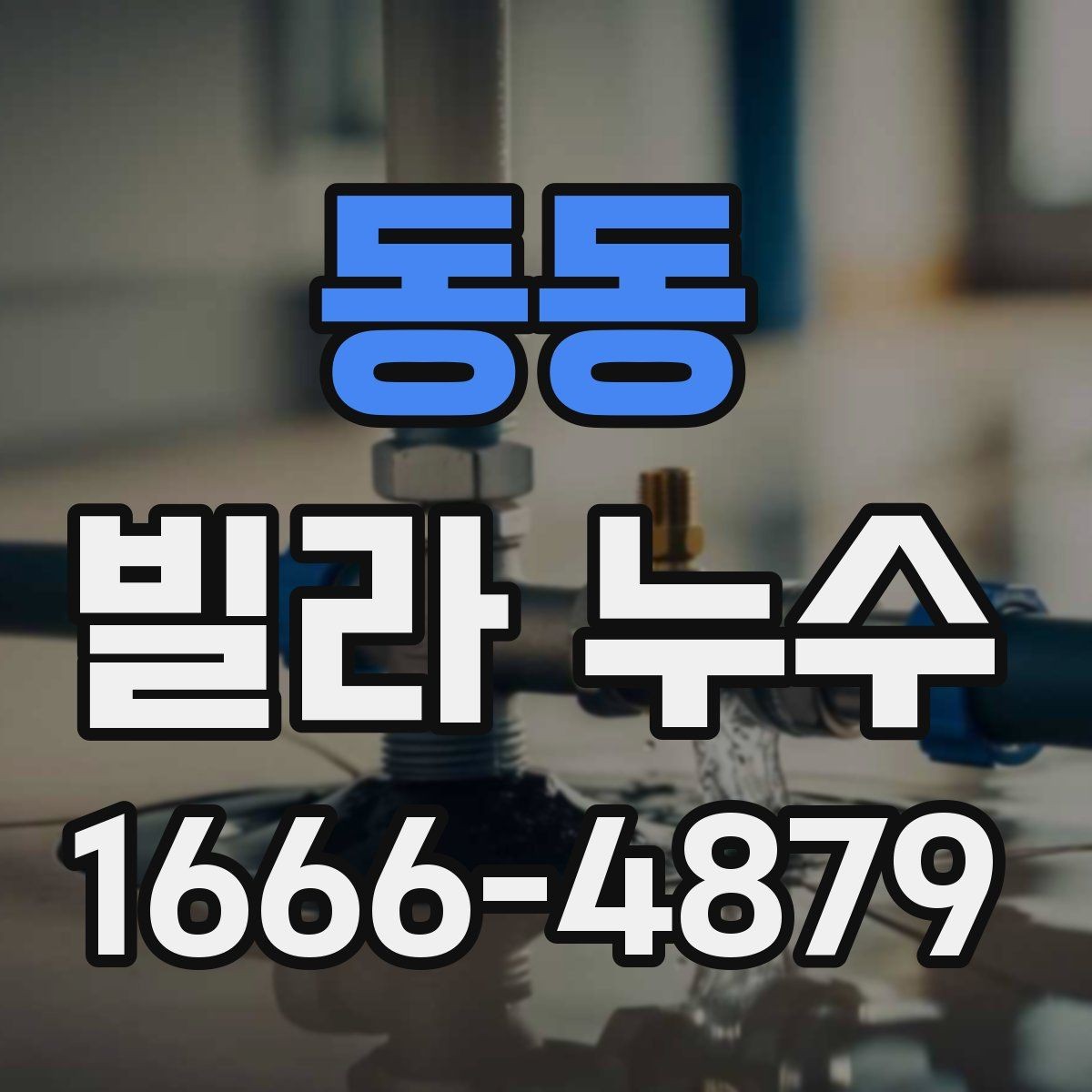 동동 빌라 누수 현장 확인 때 보는 핵심 신호