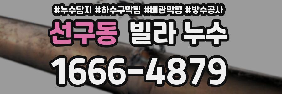선구동 빌라 누수
