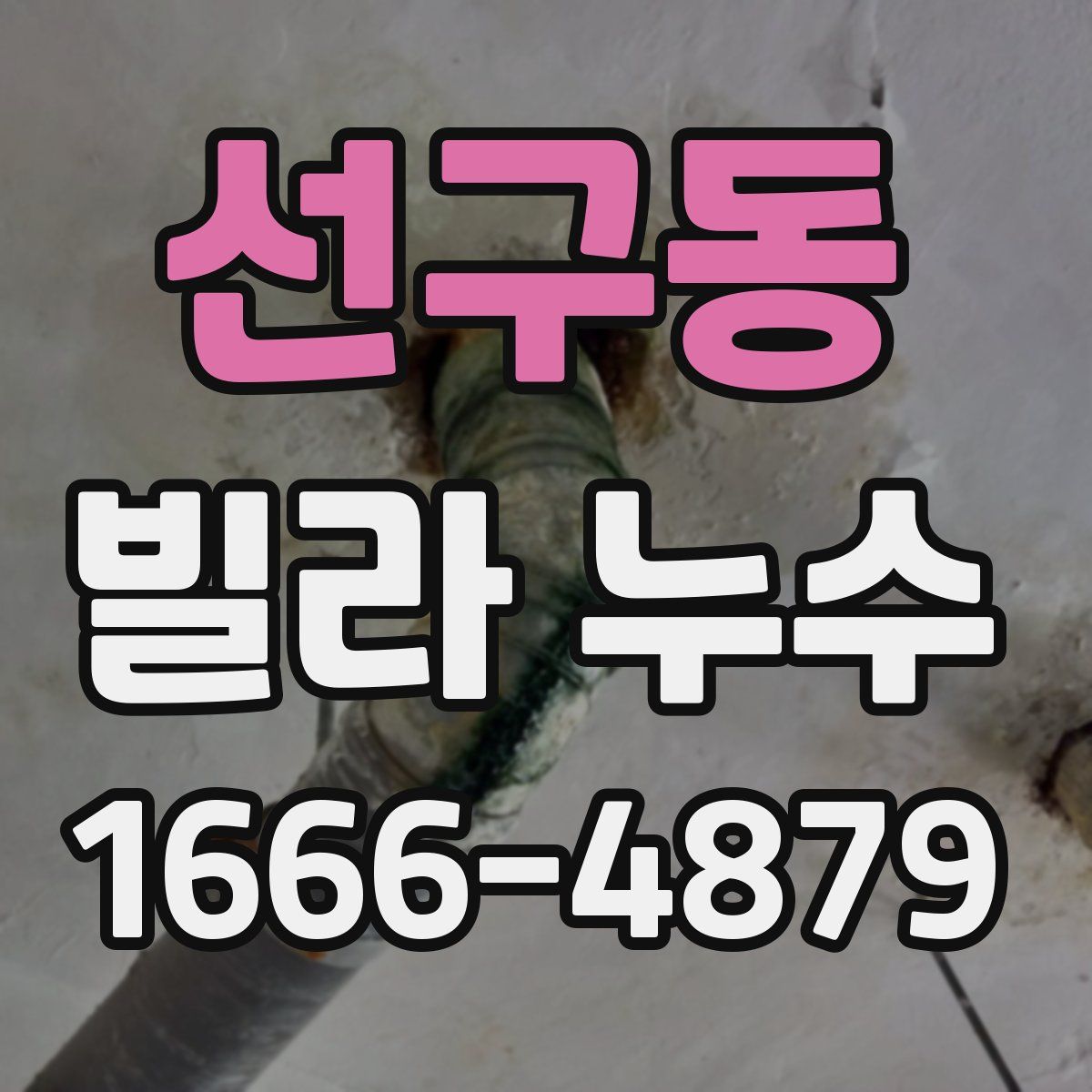 선구동 빌라 누수