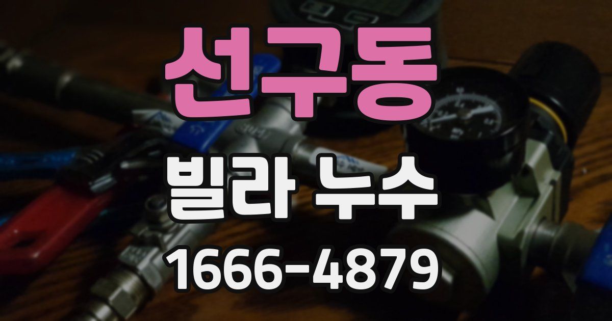 선구동 빌라 누수