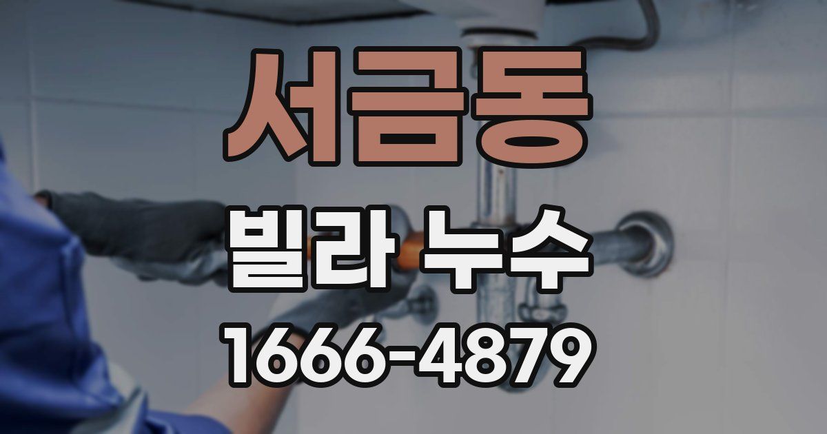 서금동 빌라 누수