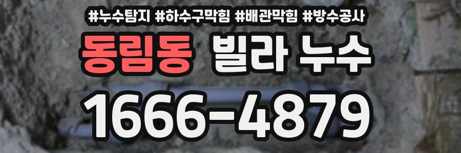 동림동 빌라 누수