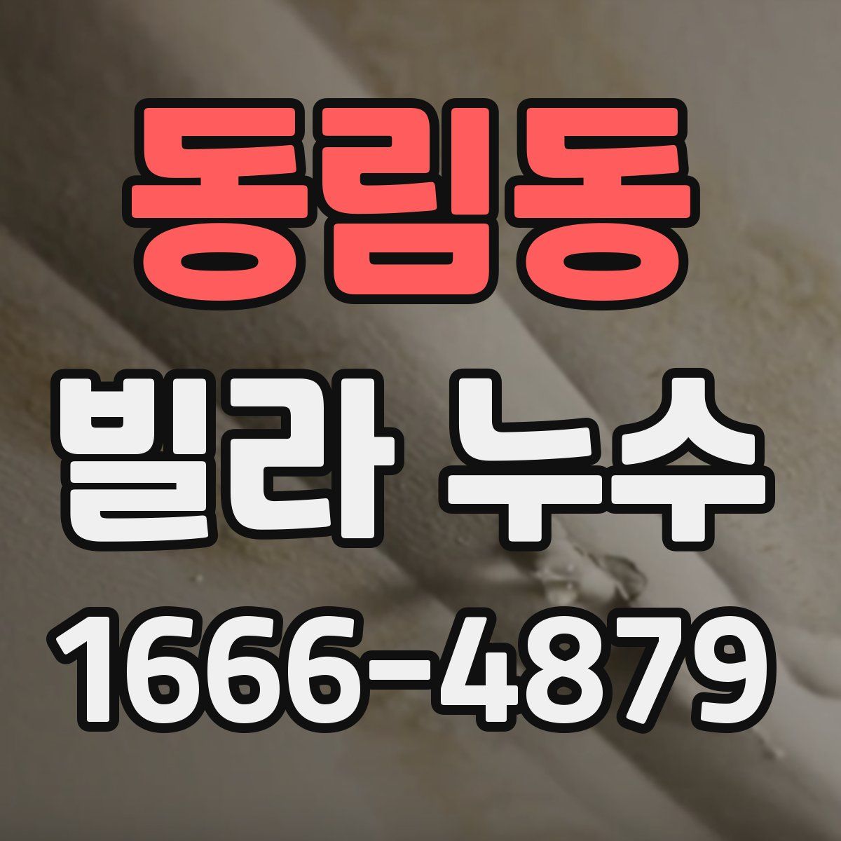 동림동 빌라 누수