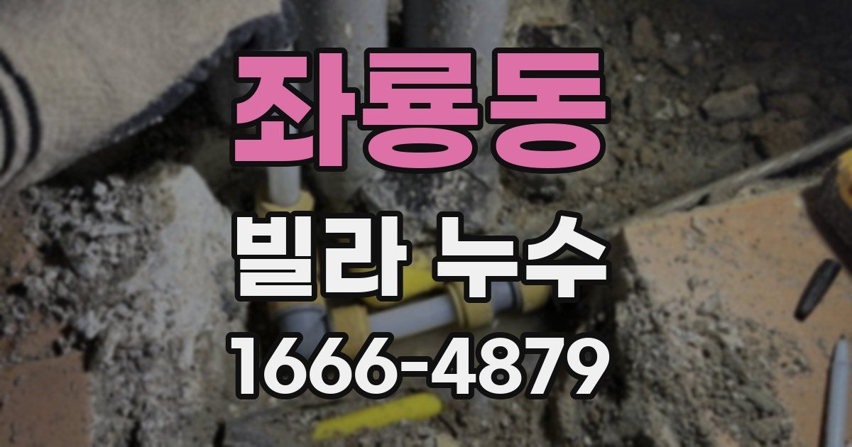좌룡동 빌라 누수