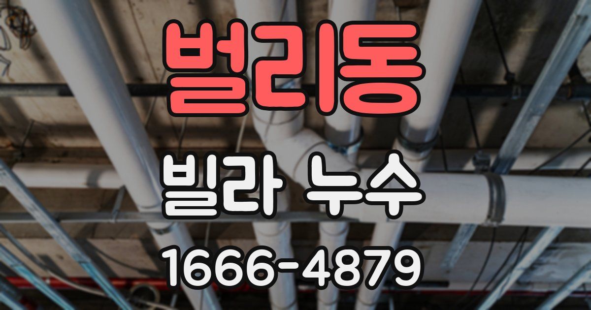 벌리동 빌라 누수