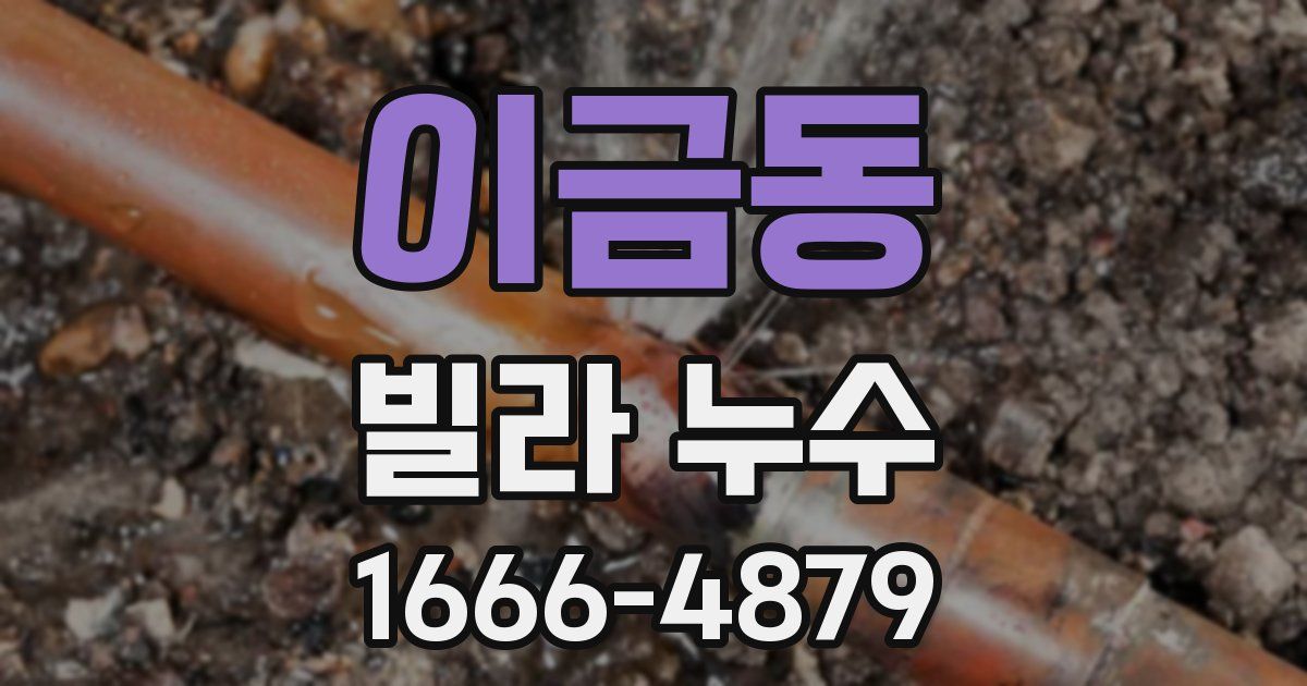 이금동 빌라 누수