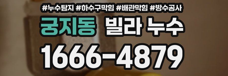 궁지동 빌라 누수