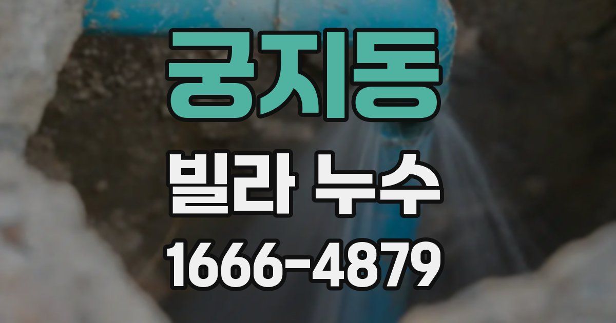 궁지동 빌라 누수