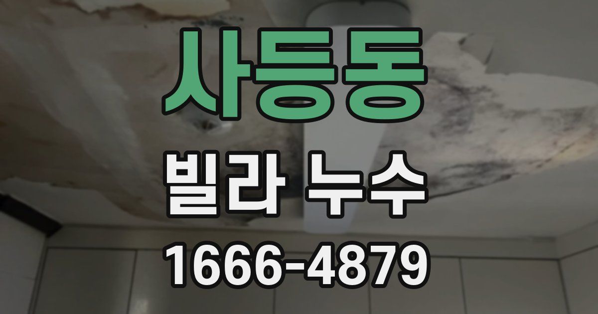 사등동 빌라 누수
