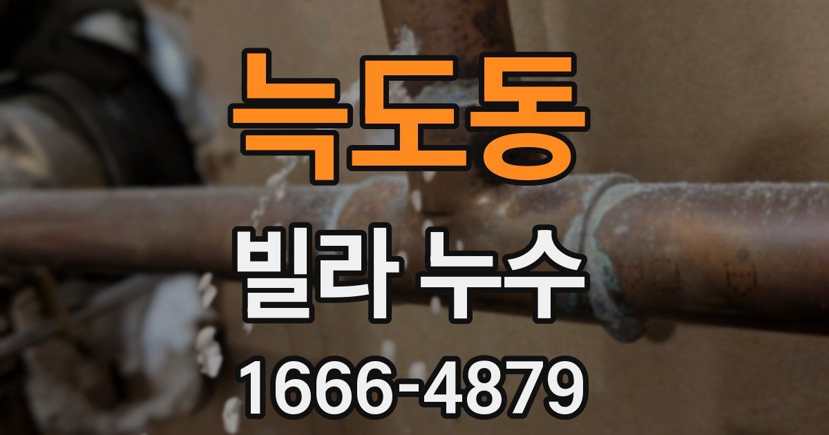 늑도동 빌라 누수