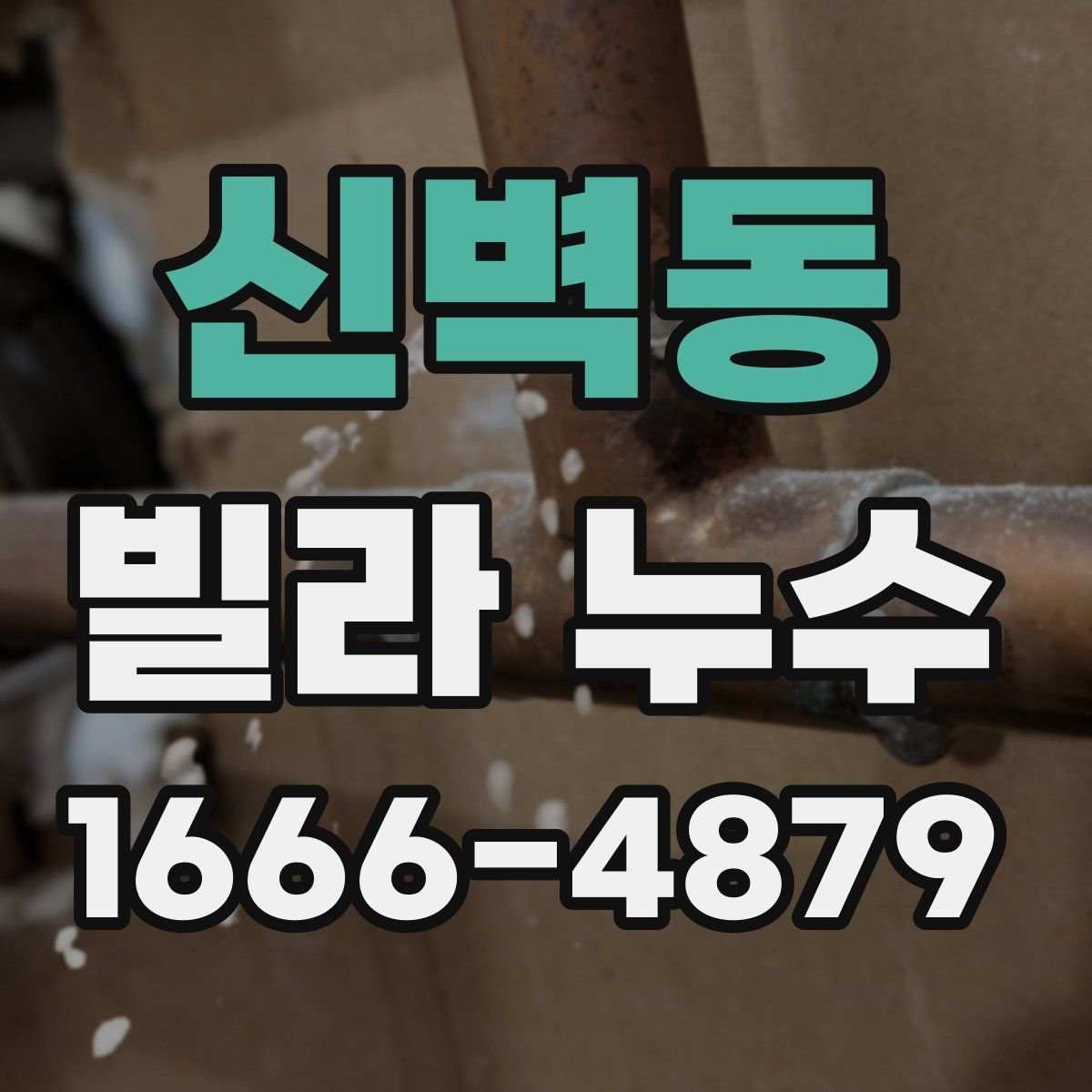 신벽동 빌라 누수