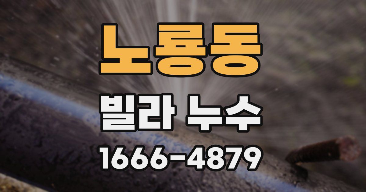 노룡동 빌라 누수