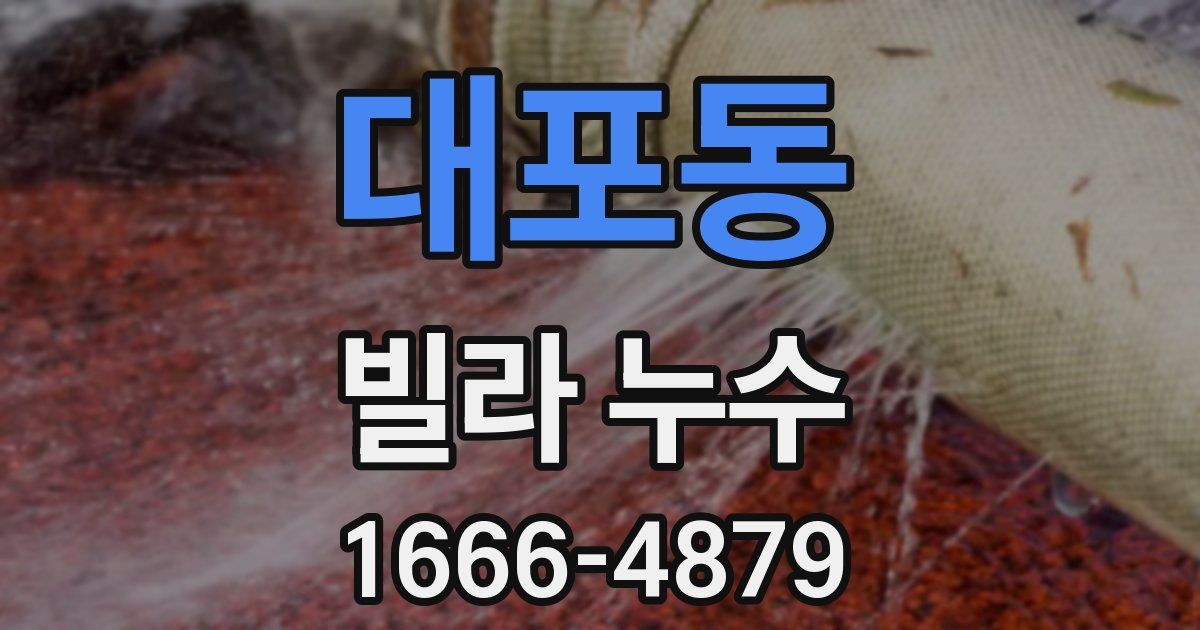 대포동 빌라 누수