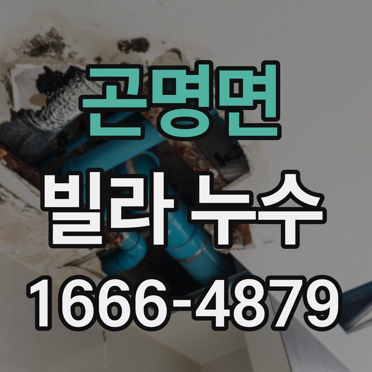 곤명면 빌라 누수