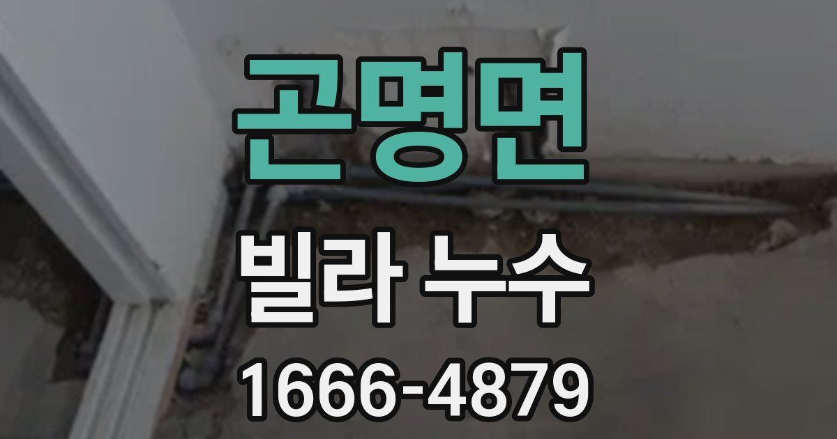 곤명면 빌라 누수